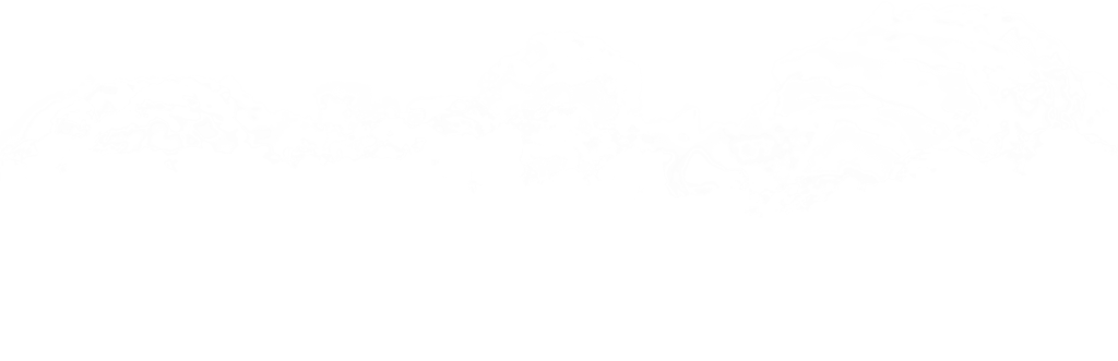 practices purposes to be deleted at the end
