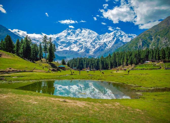 fairy meadows image