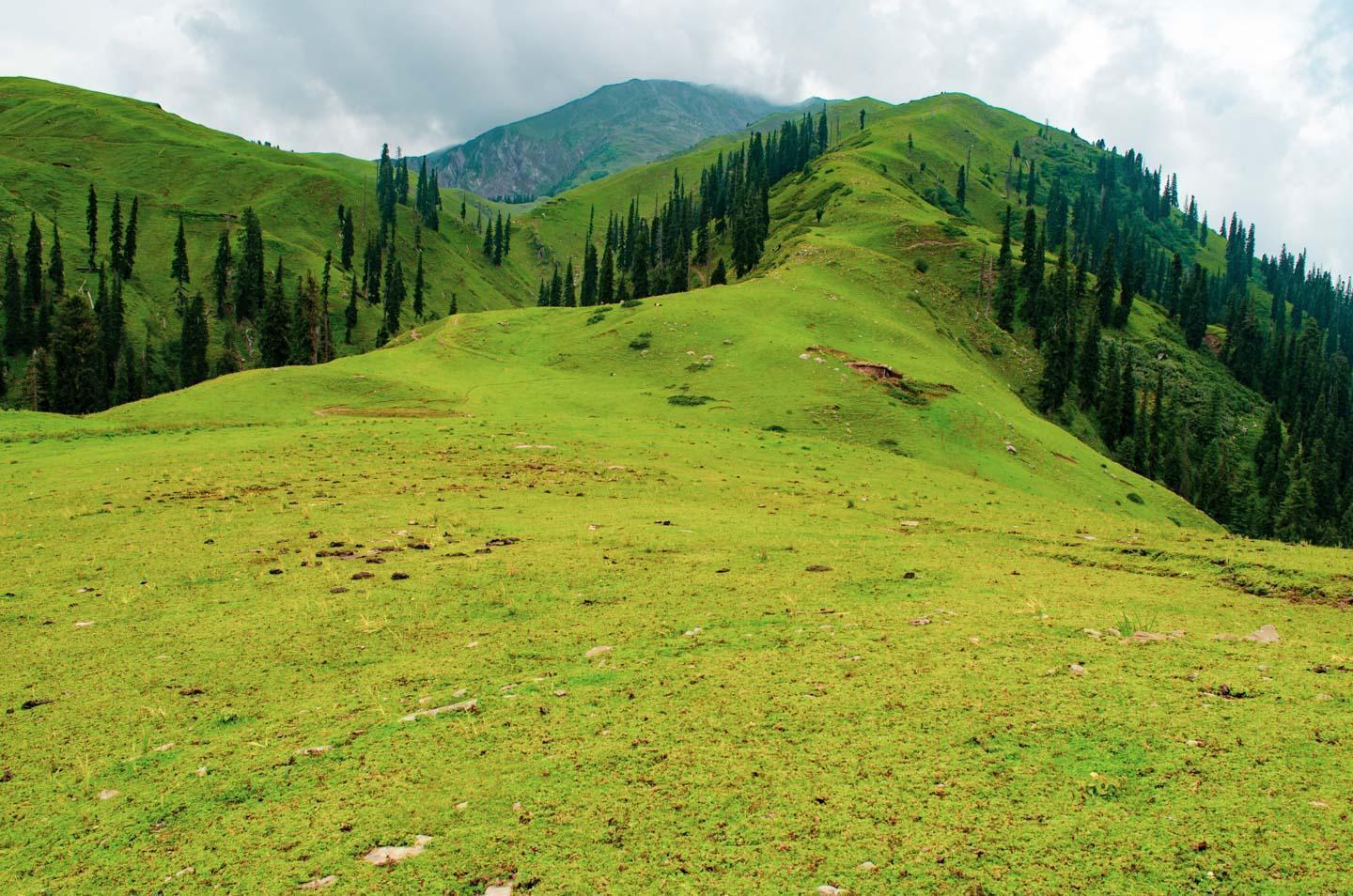 Shogran Image