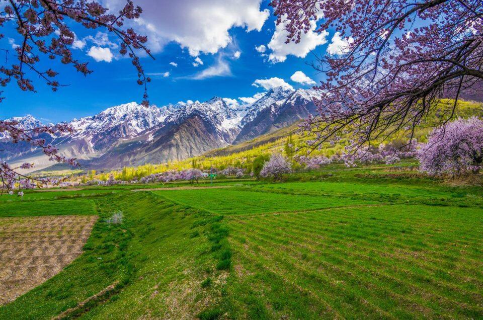 Beautiful View of Pakistan Image