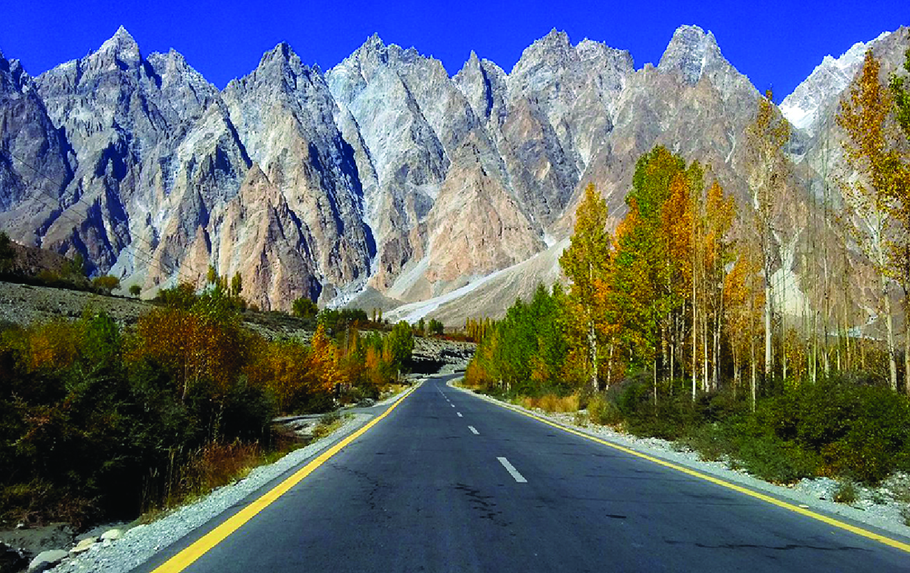 passu cones